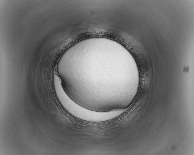 X0000097301204200803071745