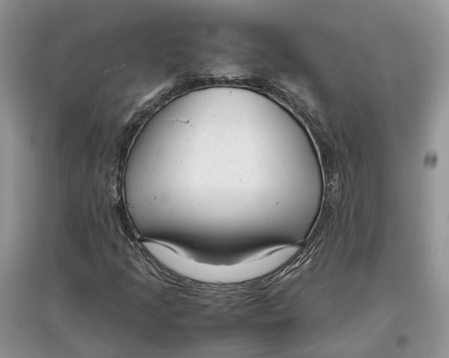 X0000097301205200803071745