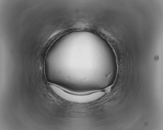 X0000097301206200803071745