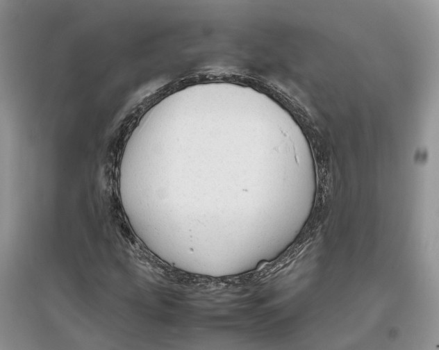 X0000097301207200803071745