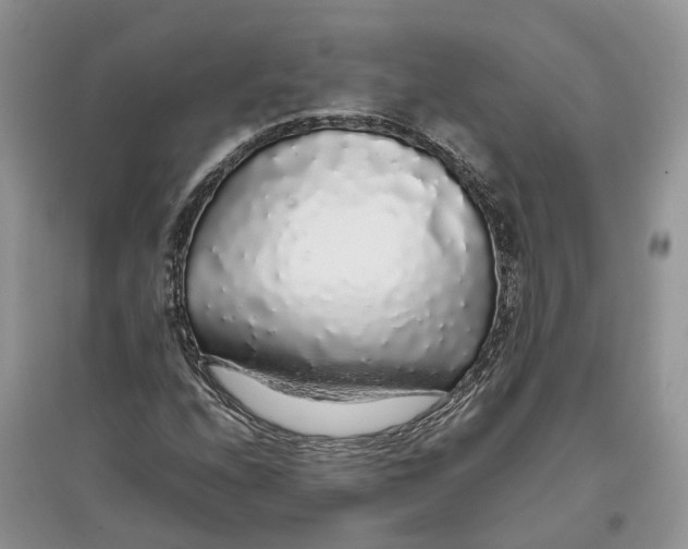 X0000097301208200803071745