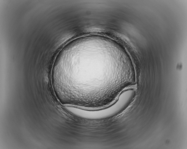 X0000097301209200803071745