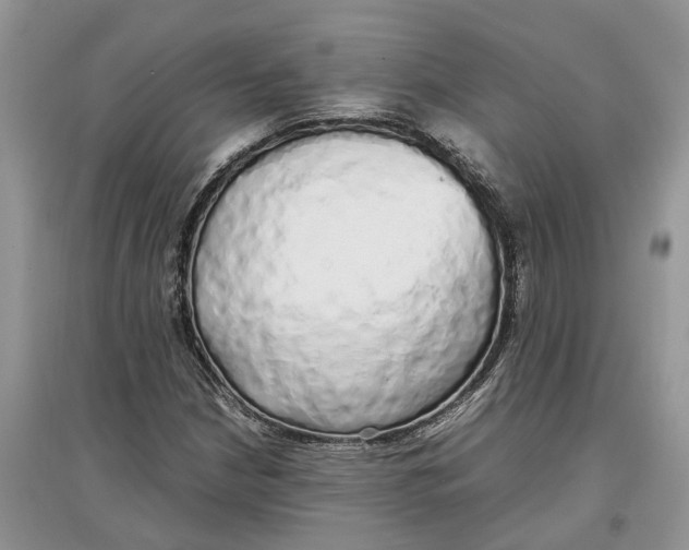 X0000097301210200803071745