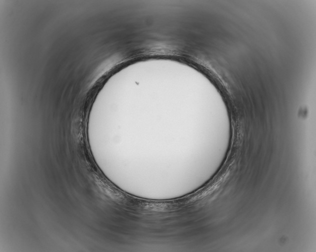 X0000097301211200803071745