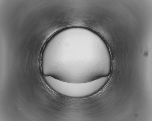 X0000097301212200803071745