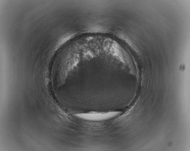 X0000097301213200803071745