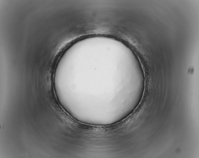 X0000097301214200803071745