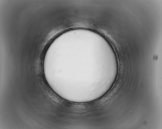 X0000097301215200803071745