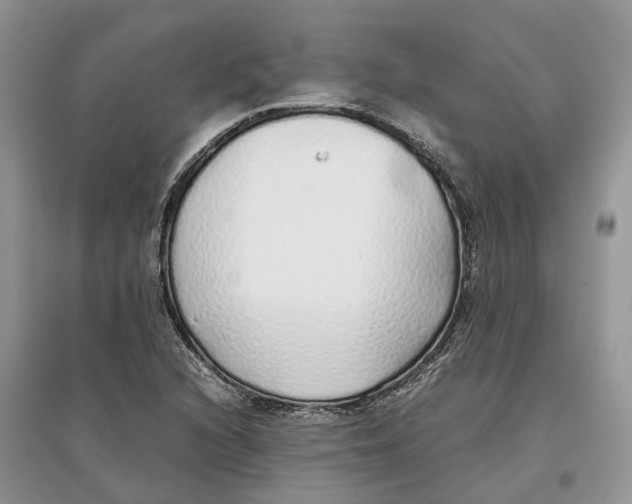 X0000097301216200803071745