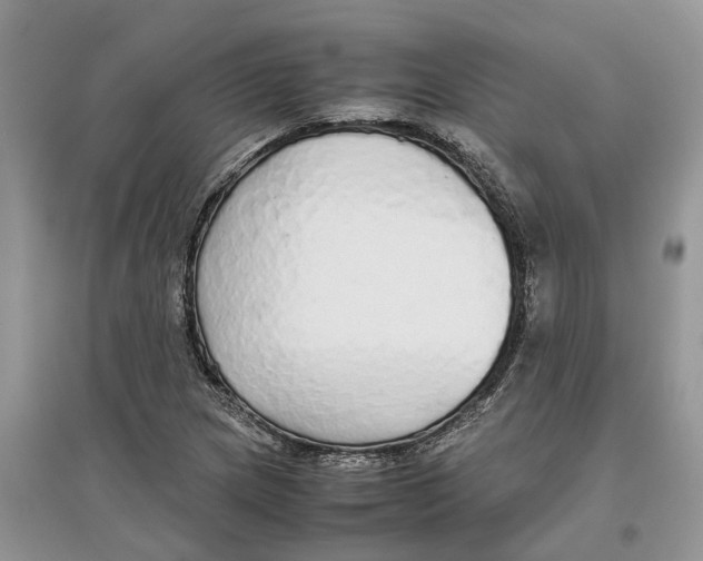 X0000097301217200803071745