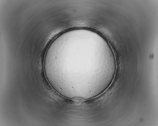 X0000097301218200803071745