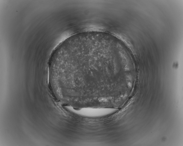 X0000097301219200803071746