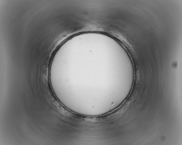 X0000097301220200803071746