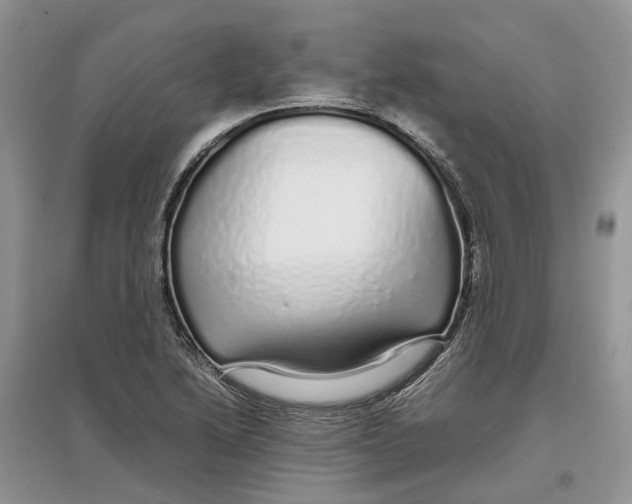 X0000097301222200803071746