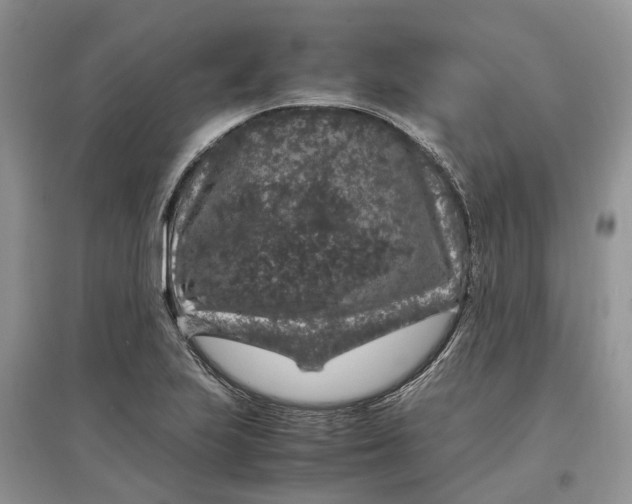 X0000097301223200803071746