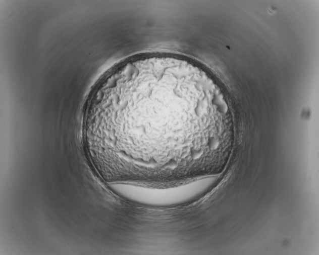 X0000097301224200803071746