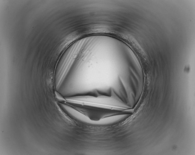 X0000097301225200803071746