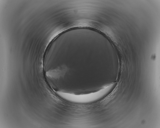 X0000097301226200803071746