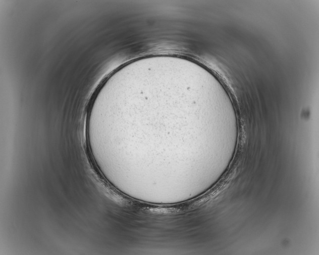 X0000097301227200803071746