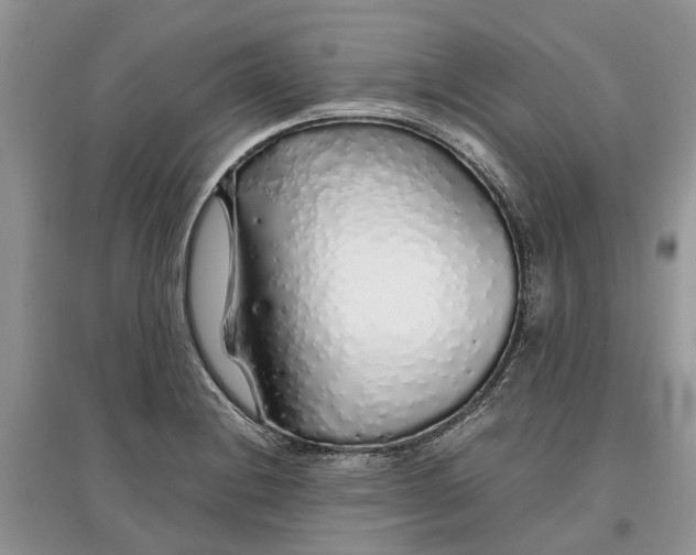 X0000097301228200803071746