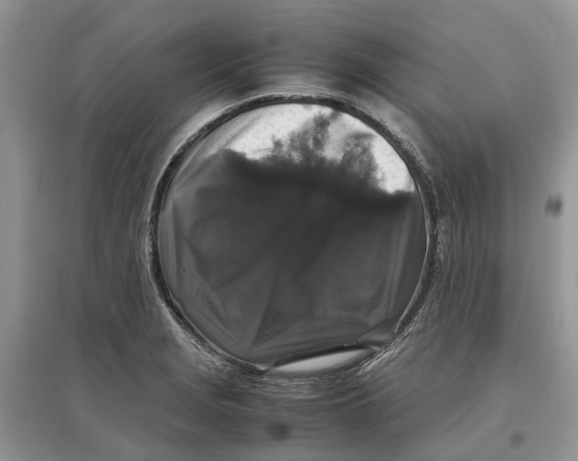 X0000097301229200803071746