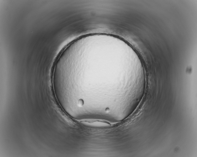 X0000097301230200803071746