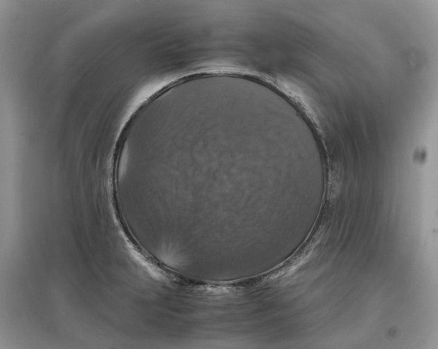 X0000097301231200803071746