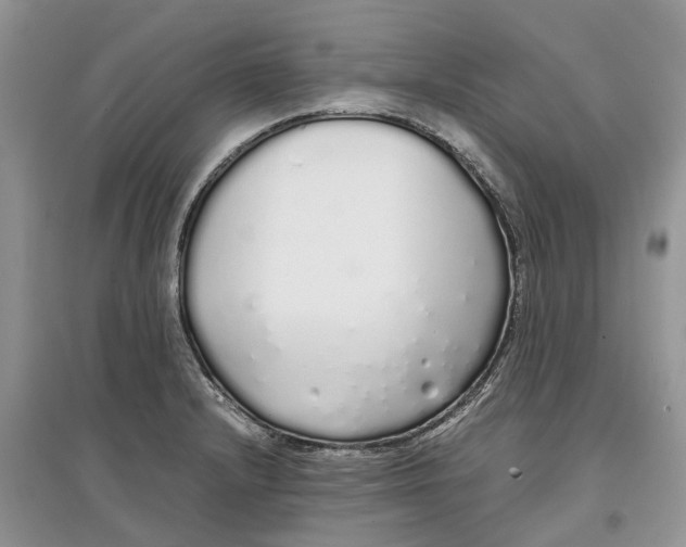 X0000097301232200803071746