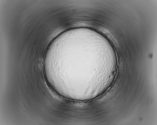 X0000097301233200803071746