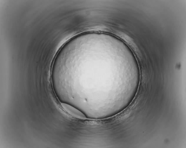 X0000097301234200803071746