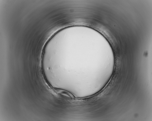 X0000097301236200803071746