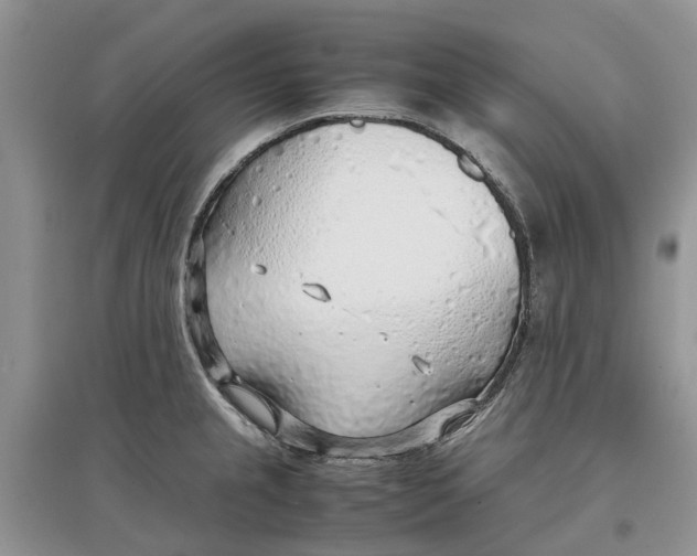 X0000097301237200803071746