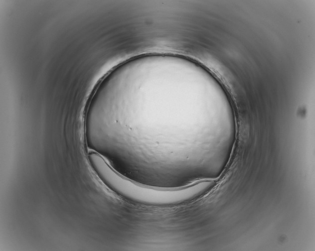 X0000097301238200803071746