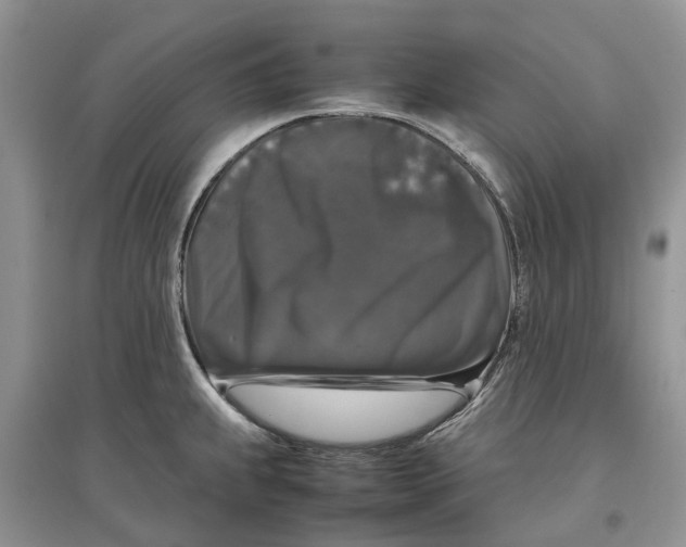 X0000097301239200803071746