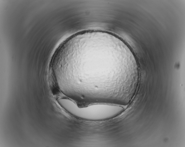 X0000097301240200803071746