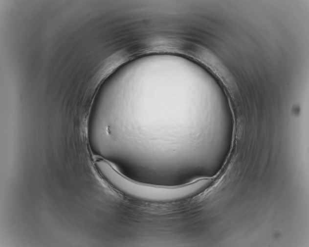 X0000097301241200803071746