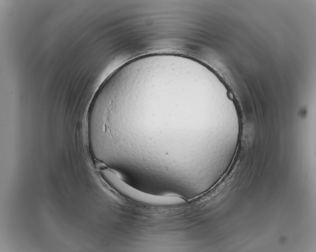 X0000097301242200803071746