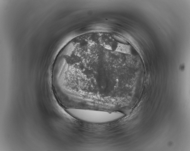 X0000097301243200803071746