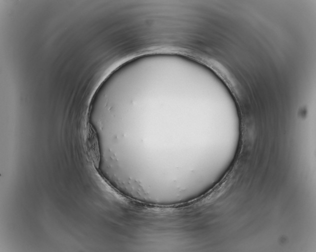 X0000097301244200803071746