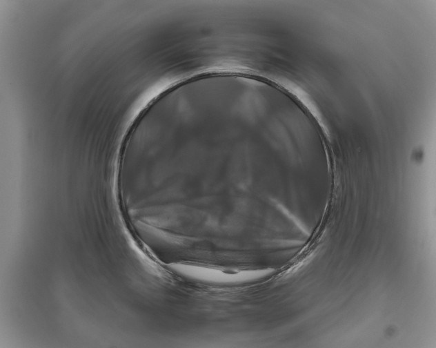 X0000097301245200803071746