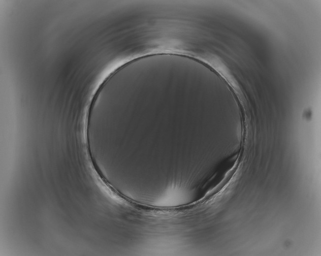 X0000097301246200803071746