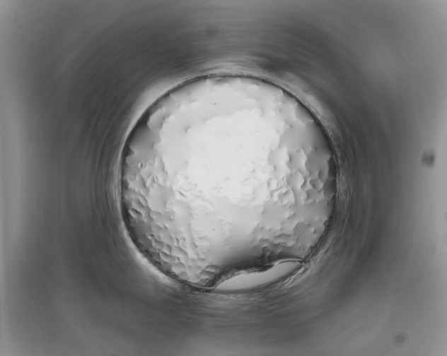 X0000097301247200803071746