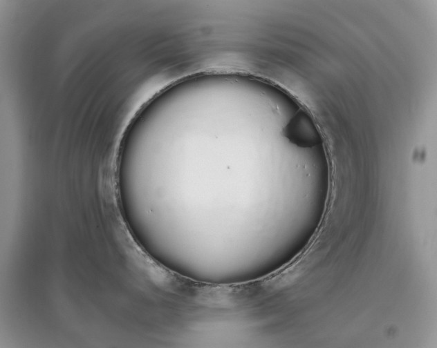 X0000097301248200803071746