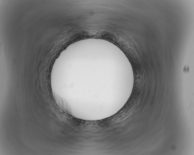 X0000097301249200803071745