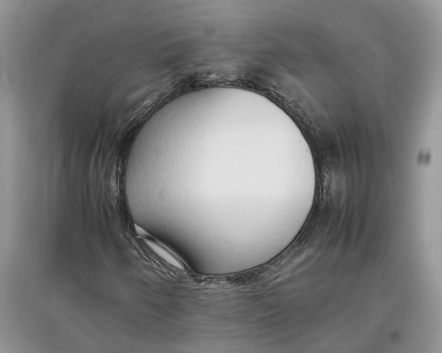 X0000097301250200803071745