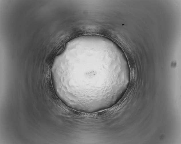 X0000097301251200803071745