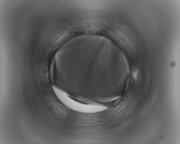 X0000097301252200803071745