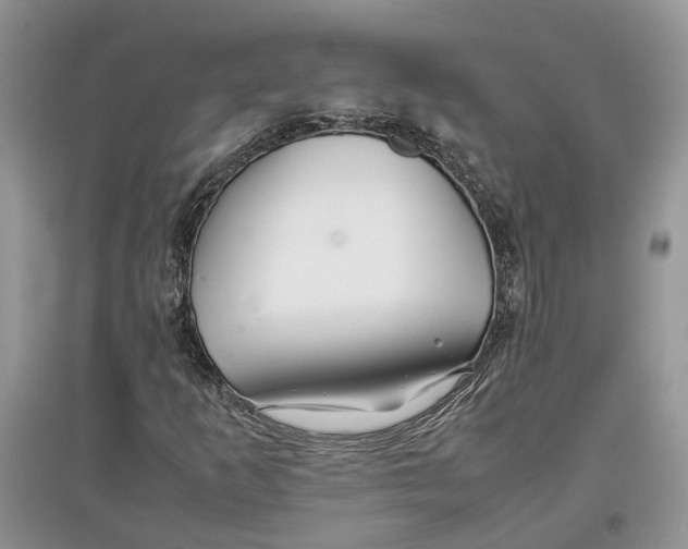 X0000097301253200803071745