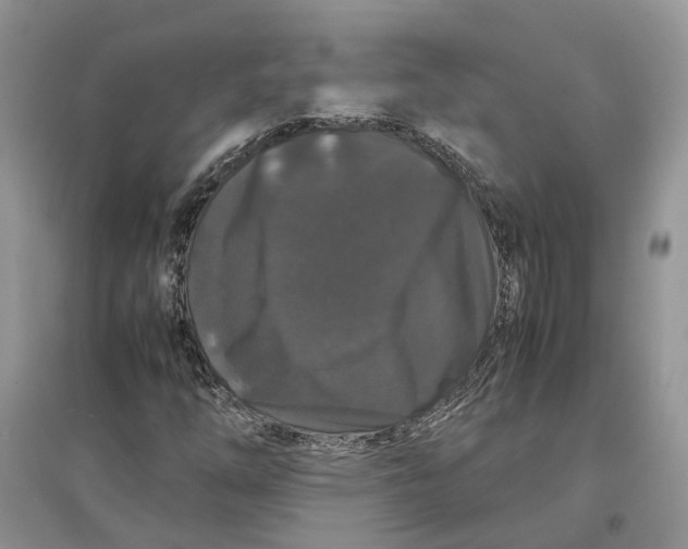 X0000097301254200803071745