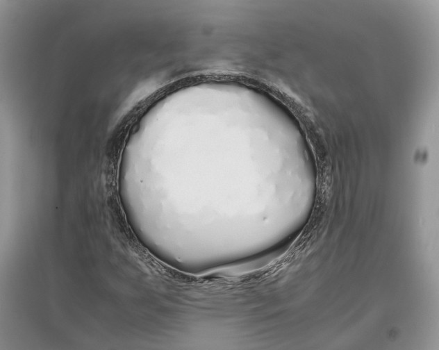 X0000097301255200803071745